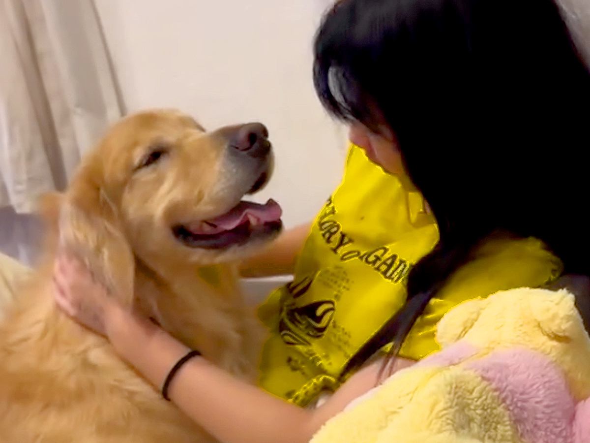 高校生になり忙しくなった女の子→帰宅すると『寂しがっていた大型犬』が近づいてきて…ほっこりが止まらない『甘えん坊すぎる光景』が24万再生