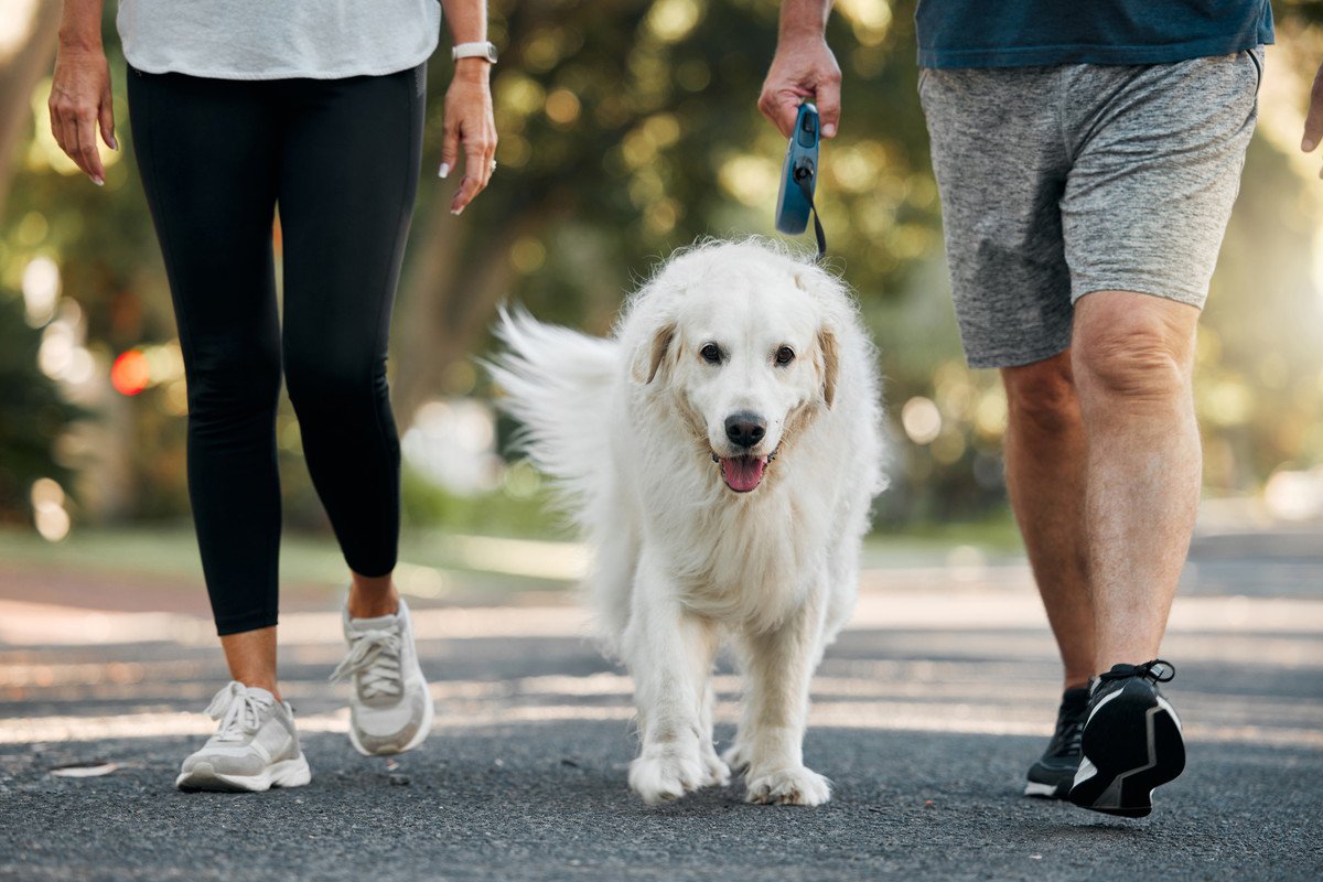 犬を飼うことが『飼い主の死亡リスク』を低減するって本当？証明された研究結果ではひとり暮らしの中高年層に顕著な効果が