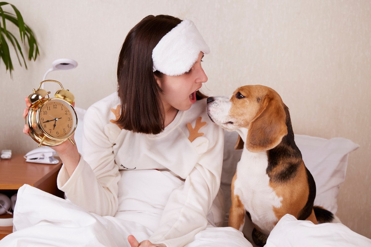 犬が早朝に『飼い主を起こす』心理5選　行動がエスカレートしてしまうNG対応とは？