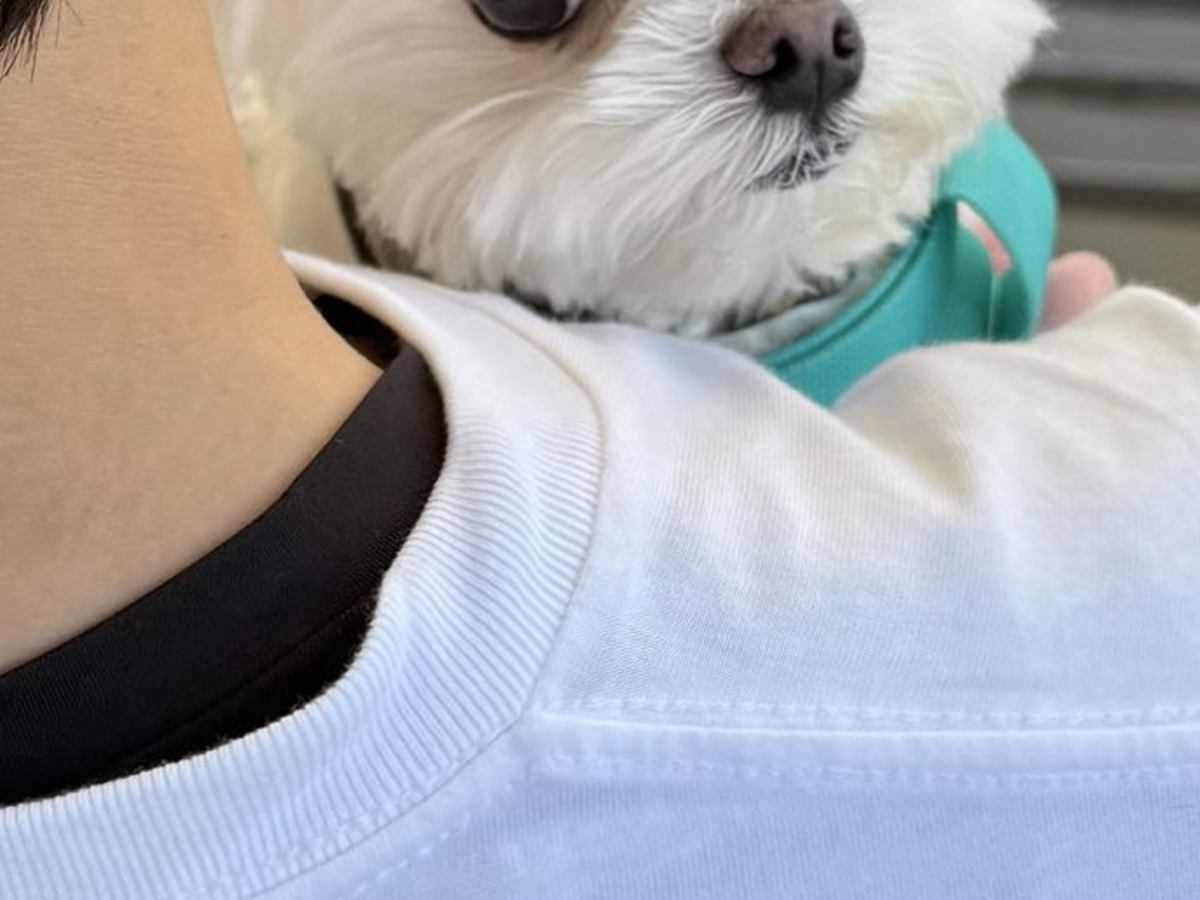 犬が『いつもと違う人』に抱っこでお外に連れていかれた結果→気づいた瞬間の『表情』に1万いいね「めちゃ心配そうで草」「連れ去られてる感ｗ」