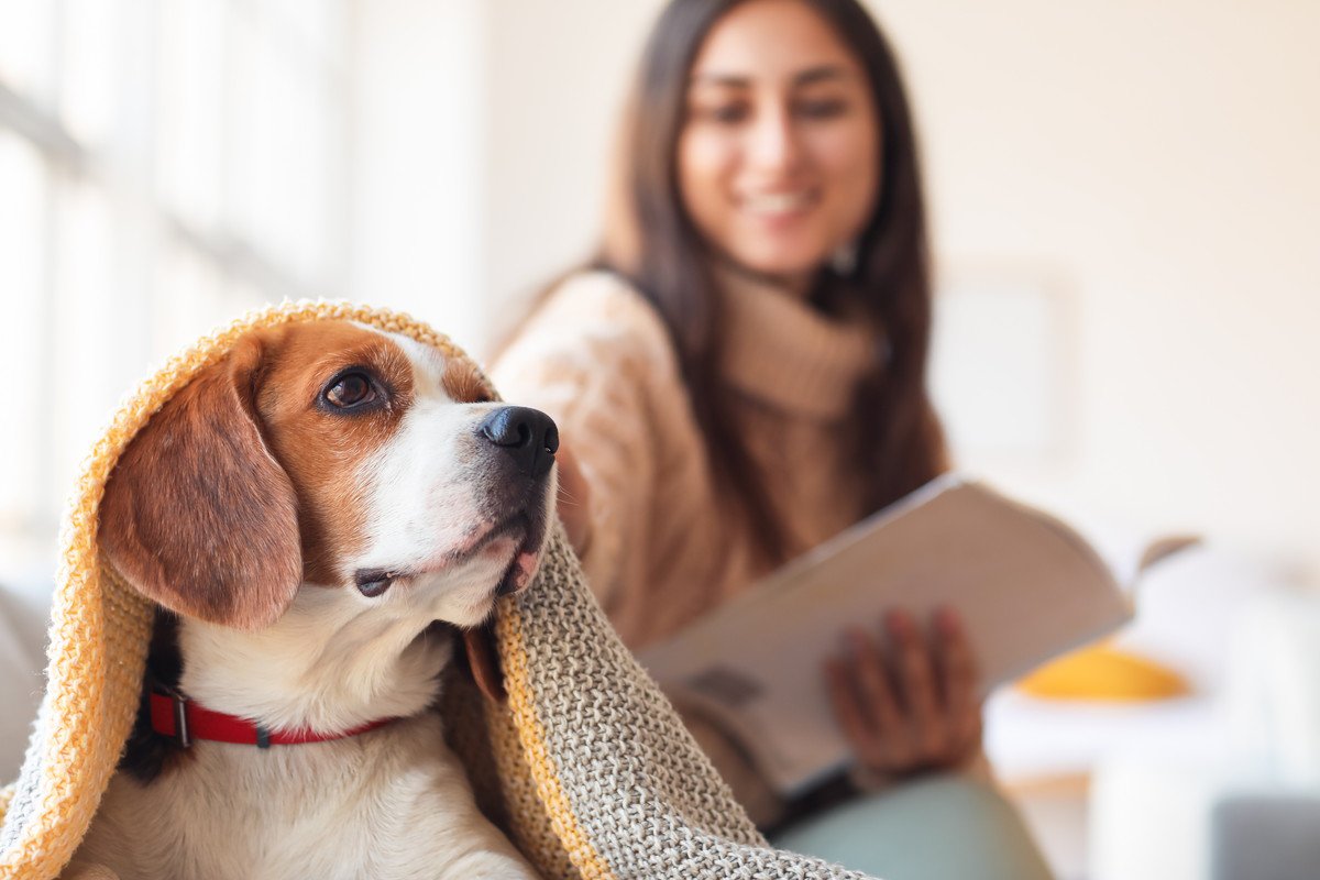 犬を飼った人にしかわからない『理想と現実』4選