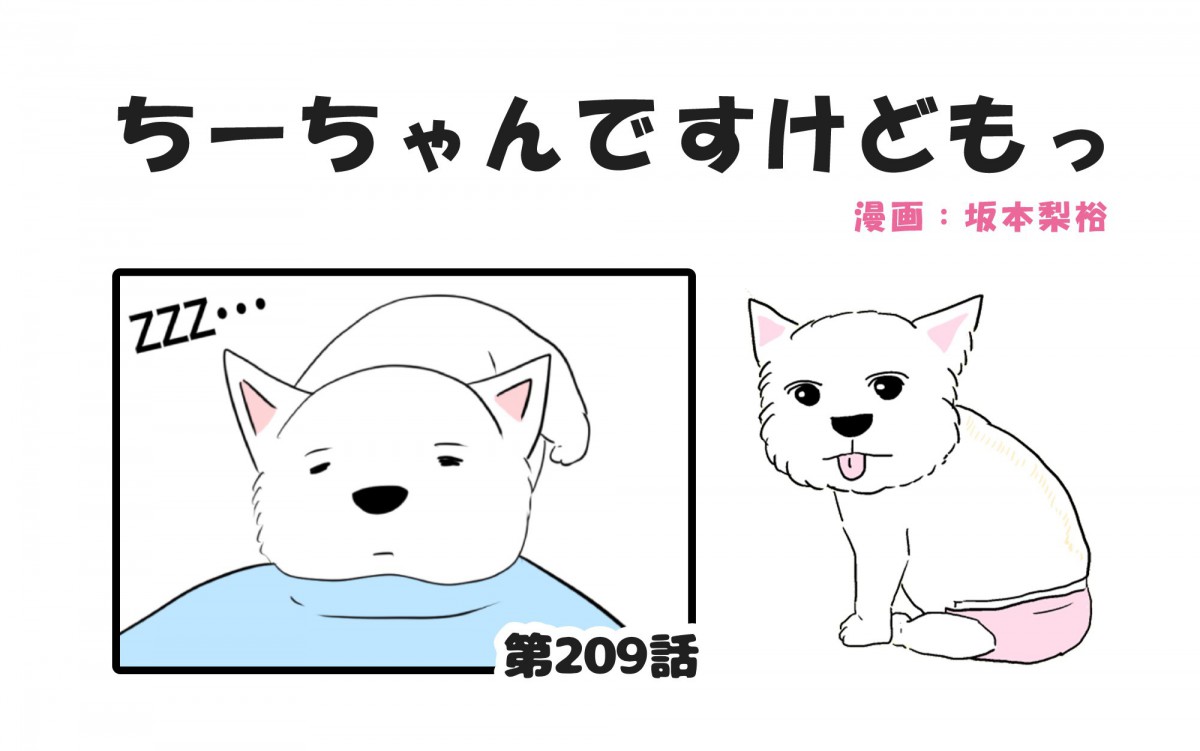 ちーちゃんですけどもっ【第209話】「犬の〝顎のせ〟は飼い主の夢」