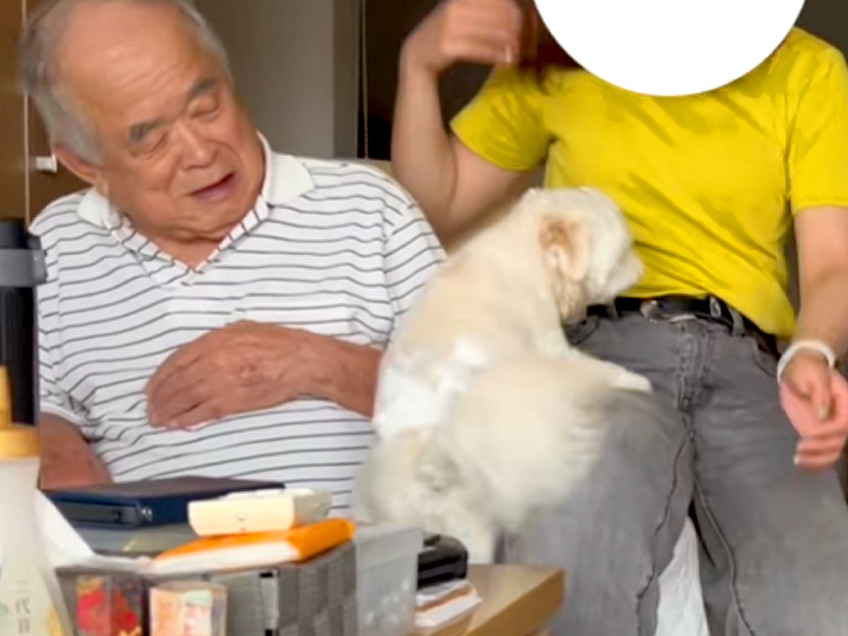 おじいちゃんのことが大好きすぎる犬→お姉ちゃんに隣を奪われた結果…嫉妬でブチギレまくる光景が152万再生「差がすごいｗ」「表情違いすぎ」