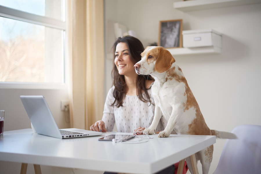 あなたの愛犬もしてる？愛嬌のある犬の仕草6選