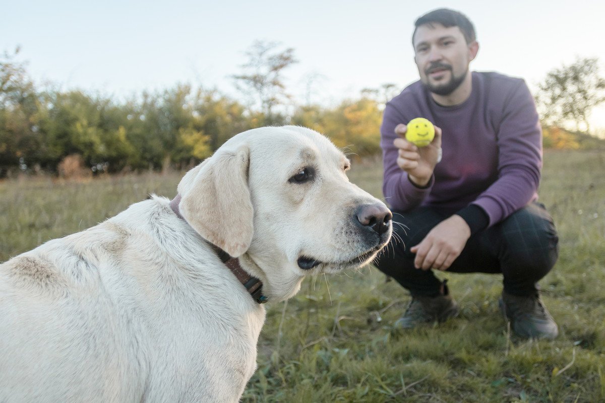 愛犬と遊びすぎるとどうなる？考えられる悪影響と遊びすぎのサイン3つ