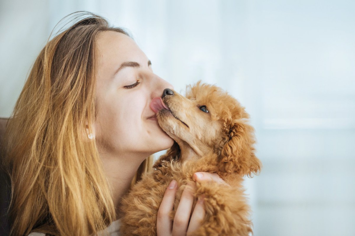 飼い主は匂いで愛犬を識別できるか？というリサーチ結果