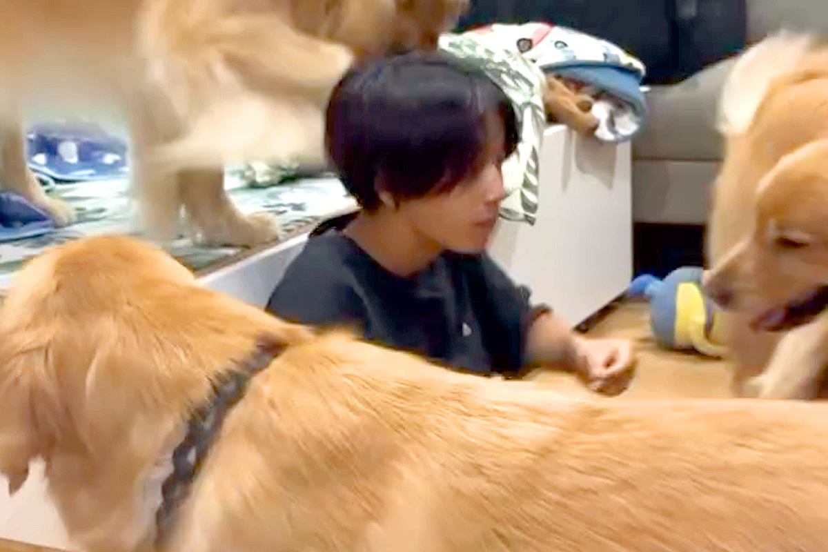 数ヶ月ぶりに『大好きなお兄ちゃん』と再会した大型犬たち→感情が爆発して…あまりにも激しい『熱烈歓迎』に反響「愛が止まらない」「可愛い」