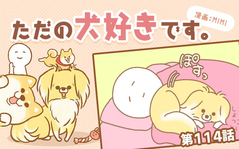 ただの犬好きです。【第114話】「ポジション直し？」