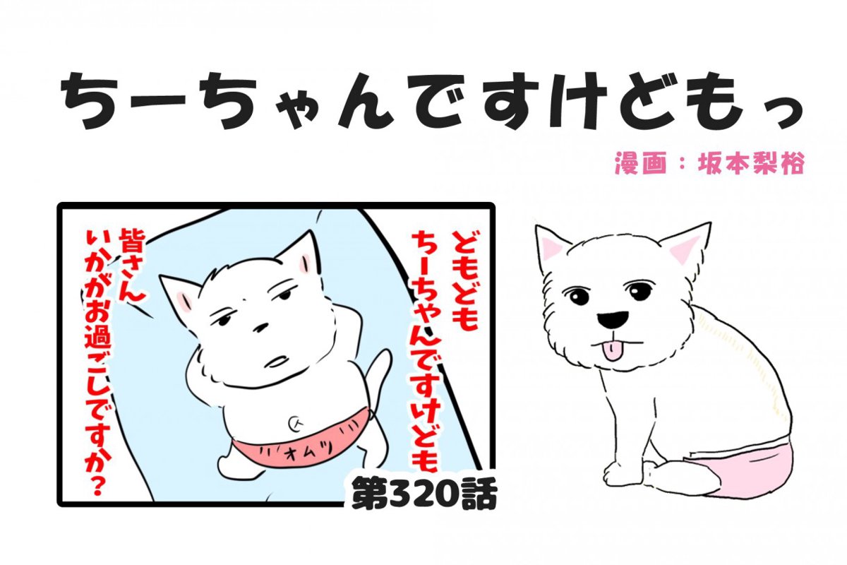 ちーちゃんですけどもっ【第320話】「わんこの水分」