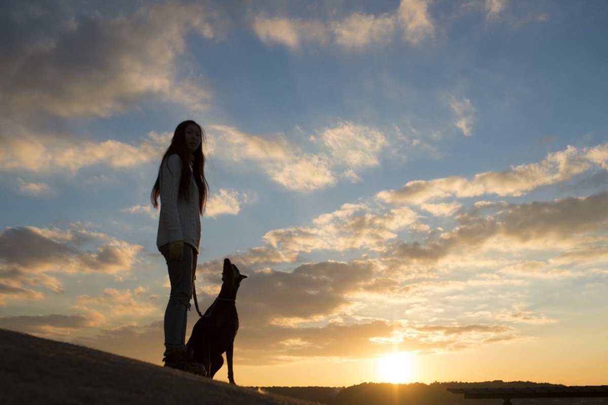 犬はなぜ死に際に飼い主から離れたがるの？4つの心理を解説