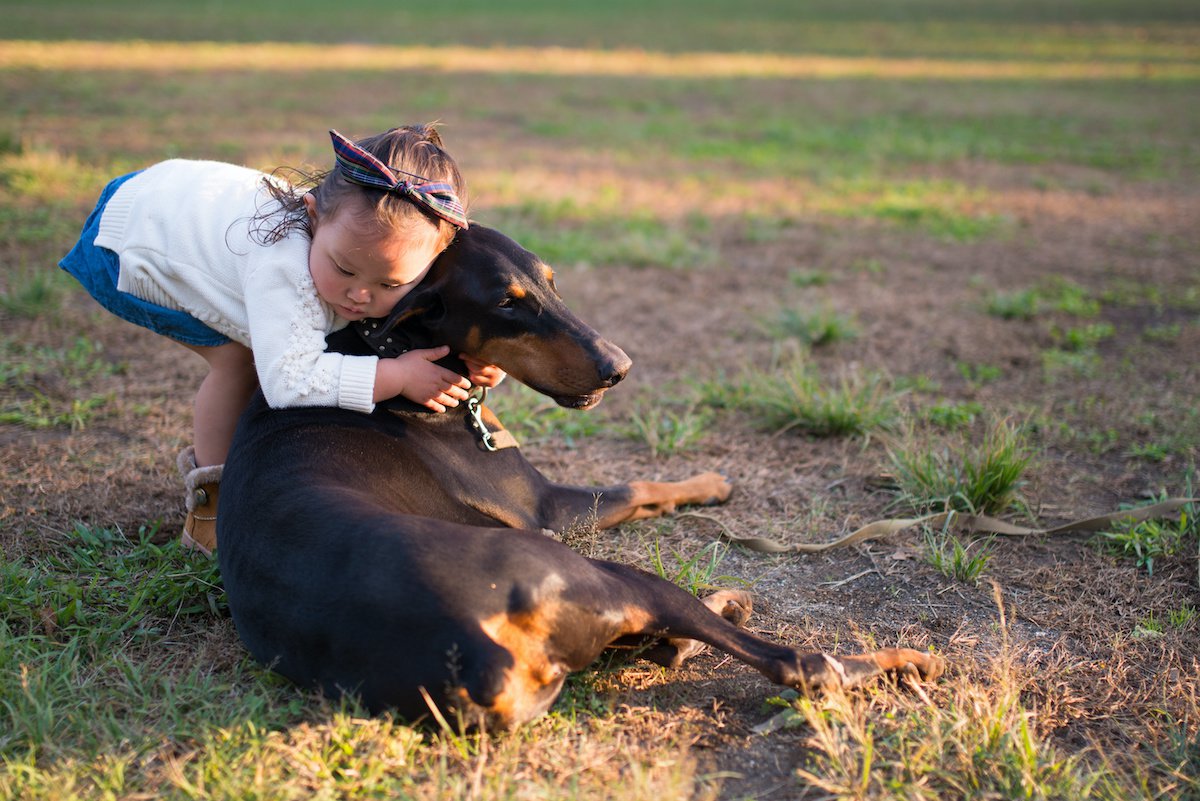 犬が怪我をしてしまうスキンシップ３選！トラブルになる前に意識して！