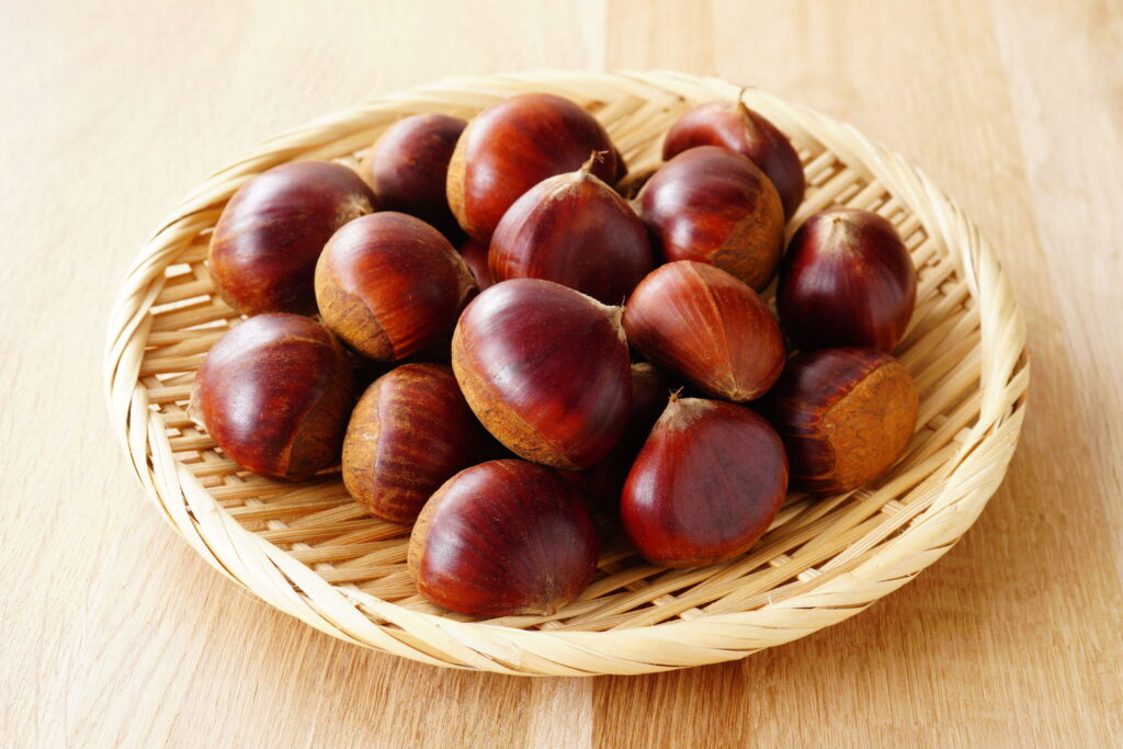 【獣医師監修】犬が栗を食べても大丈夫！安全な与え方と注意点をわかりやすく解説