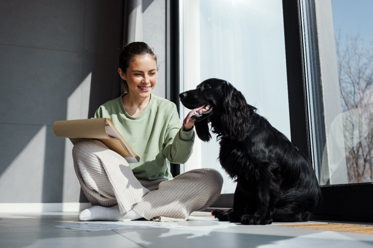 犬が不幸になってしまう『絶対NGな飼い方』6選