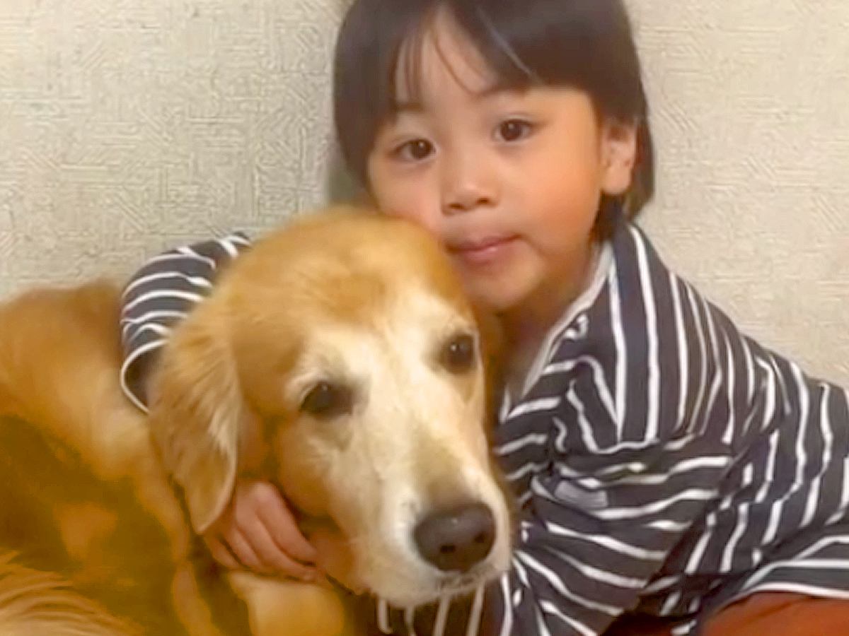 男の子が『穏やかでおおらかな性格になった理由』→2匹の大型犬と育った軌跡が15万再生「素敵」「大切なことを教えてくれる存在」と絶賛続々