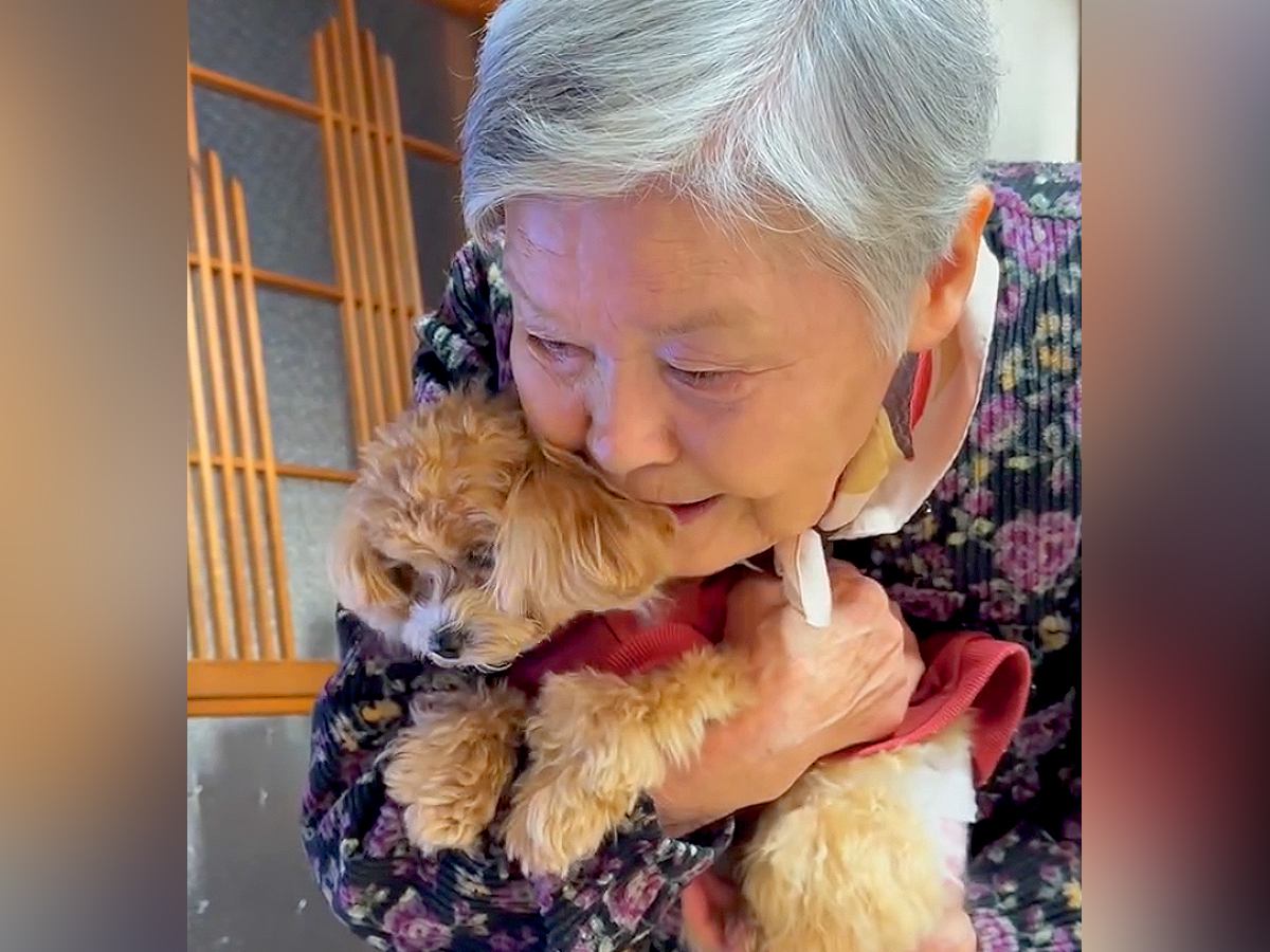 90歳間近のおばあちゃん→愛犬を初めて抱っこさせたら…あまりにも尊い『愛情伝わる光景』が3万再生「ふたりとも可愛い」「大好きなの伝わる」