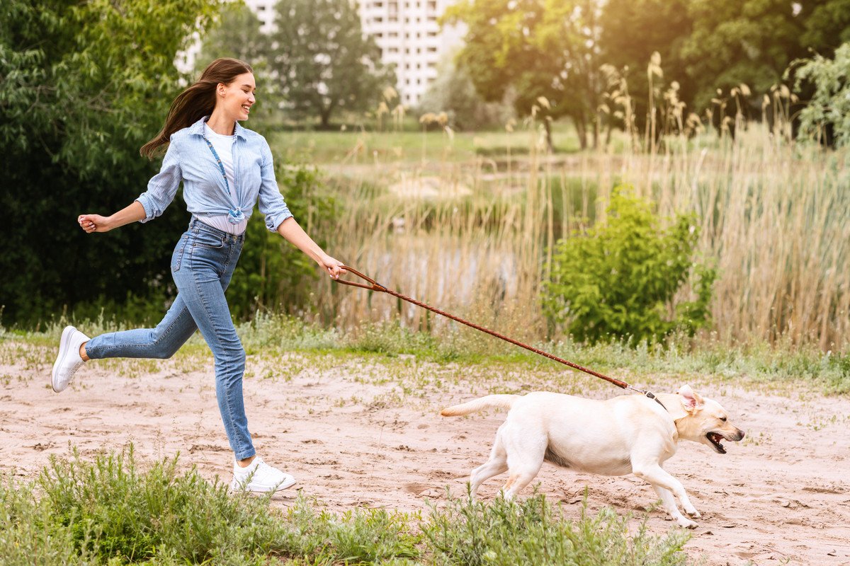 『長距離散歩が必要な犬種』5選　主な共通点や一日の適切な運動時間まで解説