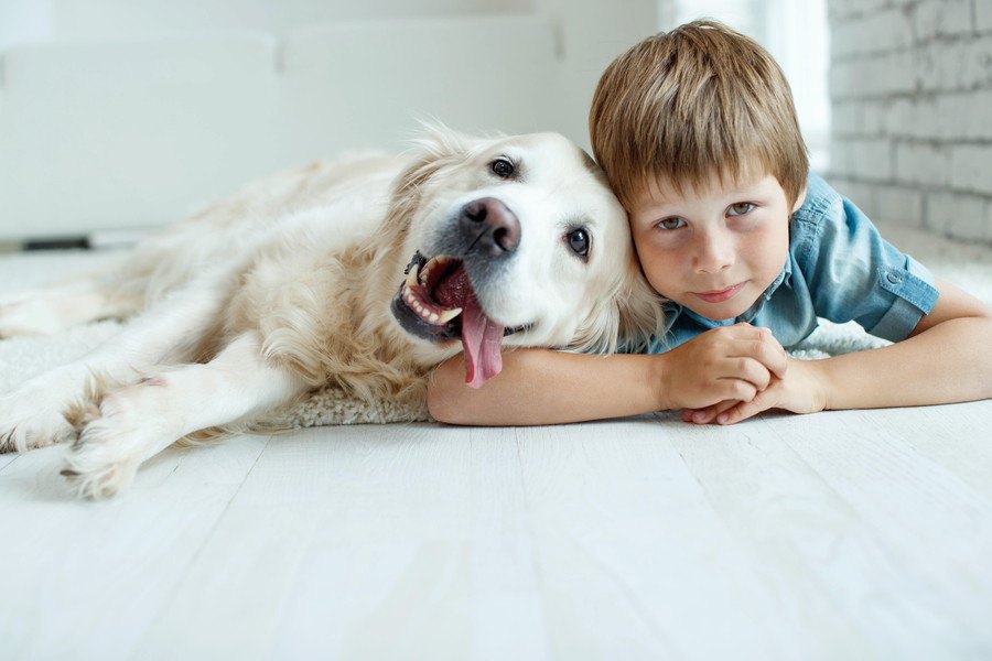 犬に愛されている人がしている５つのこと