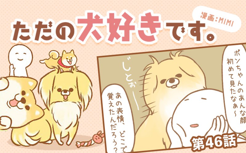 ただの犬好きです。【第46話】「表情のなぞ」