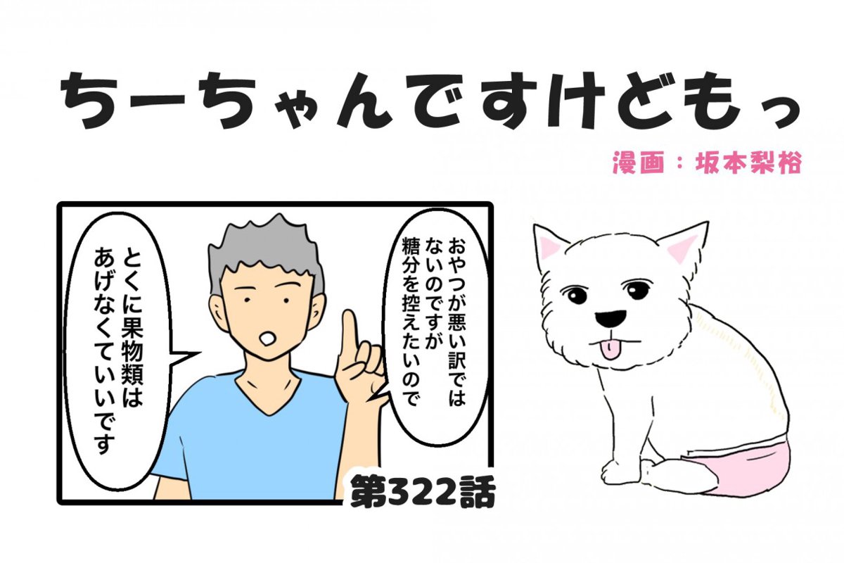  ちーちゃんですけどもっ【第322話】「バレないように行動してよ」