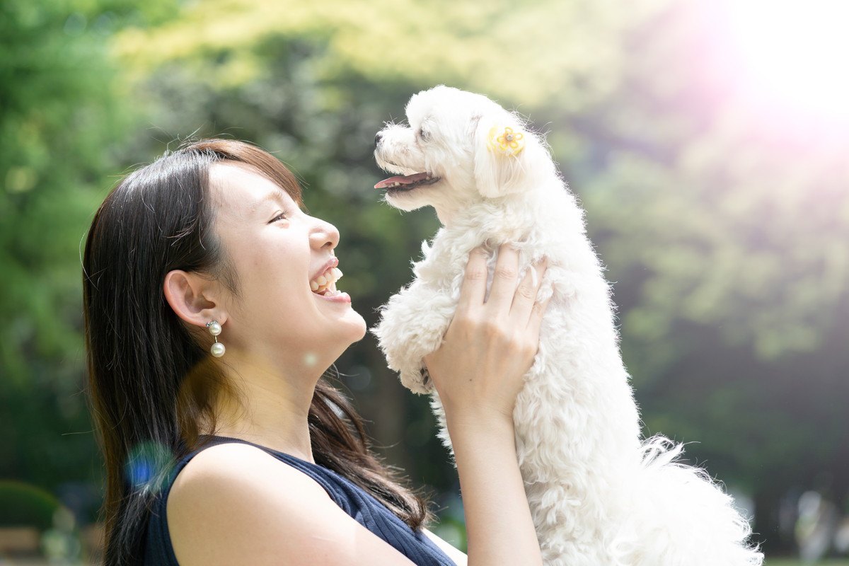 愛犬との絆が強まる上手な『ほめ方』！タイミングやコツを解説