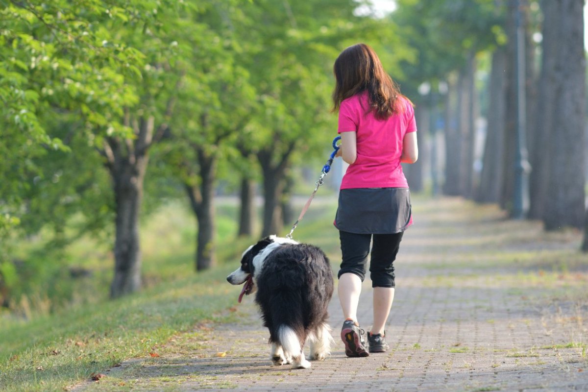 愛犬を散歩中に『目を離してはいけない』理由5つ　思わぬ事故を引き起こしてしまうかも…