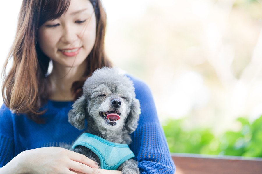 あまり知られていない犬の身体的特徴について