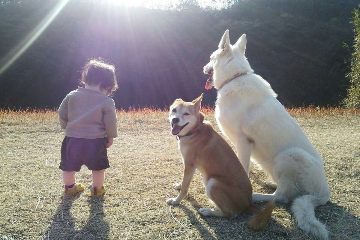 人と犬の関係は十人十色！～あなたと愛犬の関係は世界にひとつ～