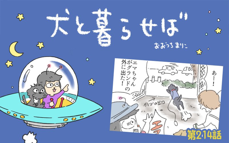 犬と暮らせば【第214話】「たったひとつのさえたとめかた」