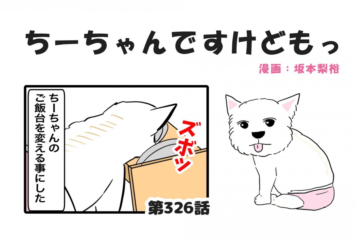 ちーちゃんですけどもっ【第326話】「買い物しづらいウェスティ」