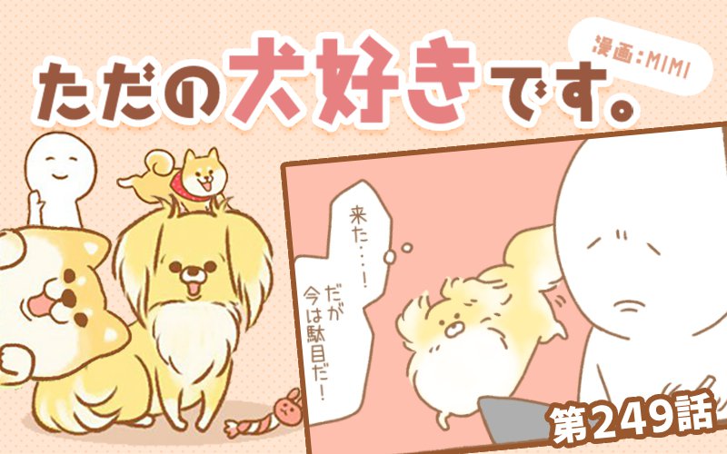 ただの犬好きです。【第249話】「攻略法」