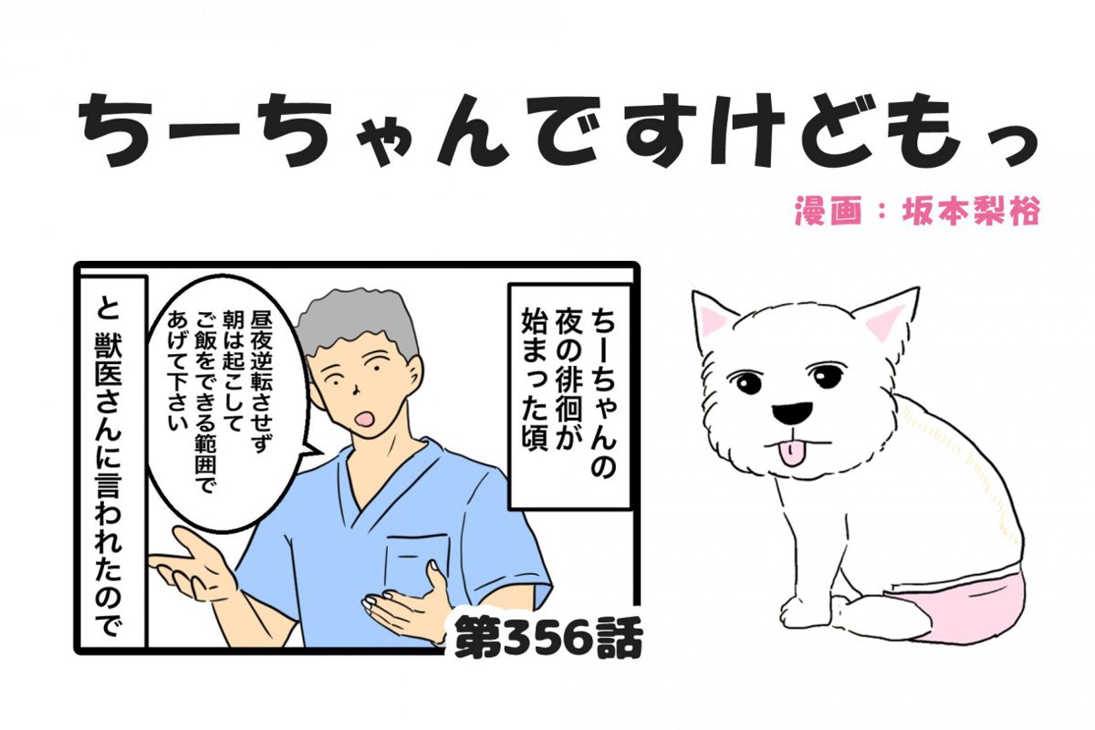 ちーちゃんですけどもっ【第356話】「夜の徘徊のお話」