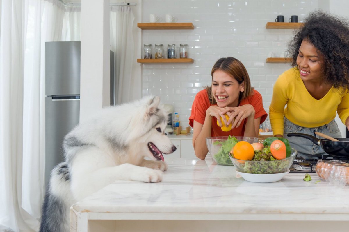 犬に与えても大丈夫な『春の野菜』３選　愛犬と一緒に食べられる食材とは？