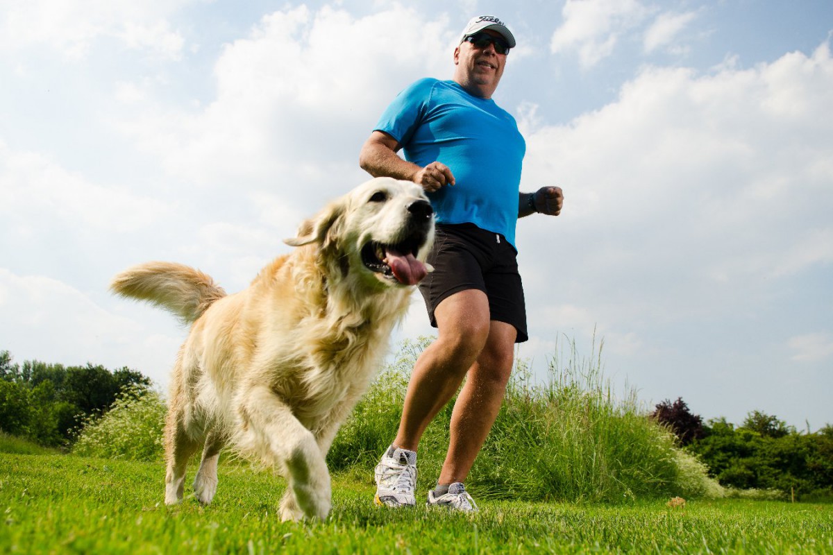 犬の『老化』は防止できる？元気を保つための7つの方法