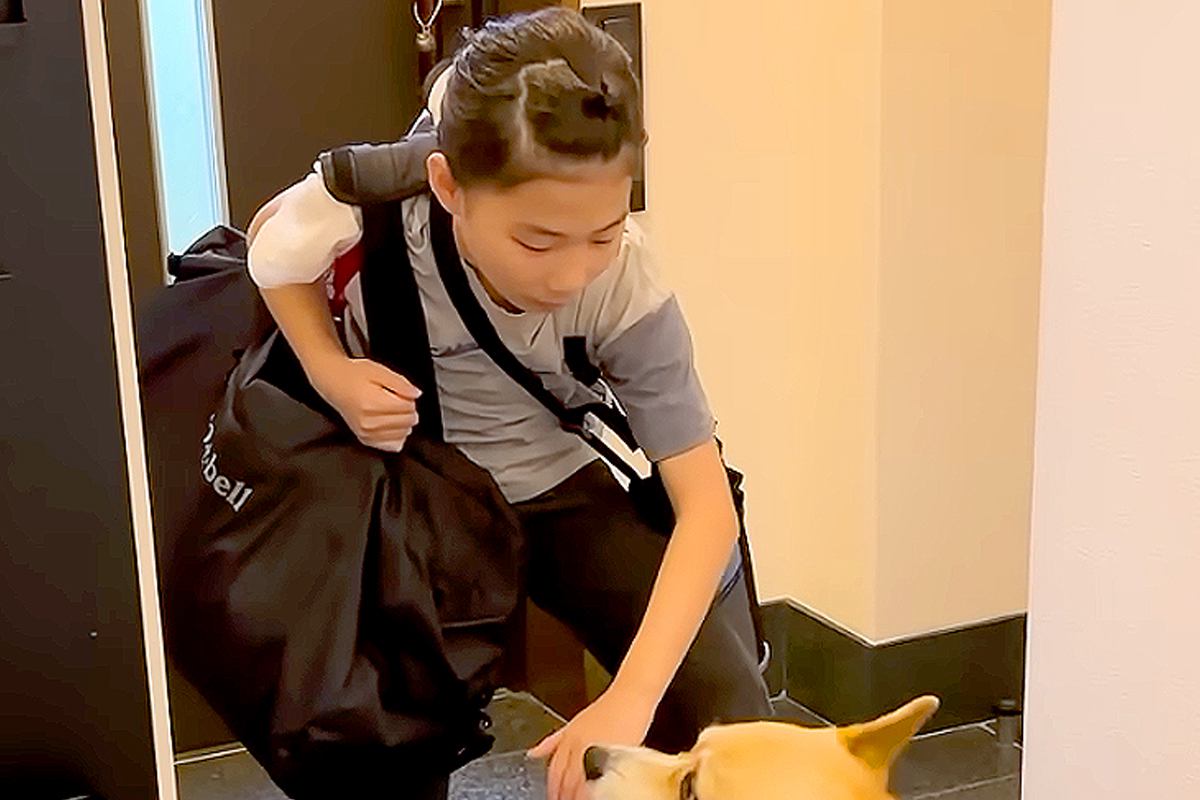 娘が『1泊2日の外出』へ行こうとした結果→犬が『行かないで』と訴えて…お別れ後の『態度の違い』が18万再生「可愛すぎ」「大好きなんだね」