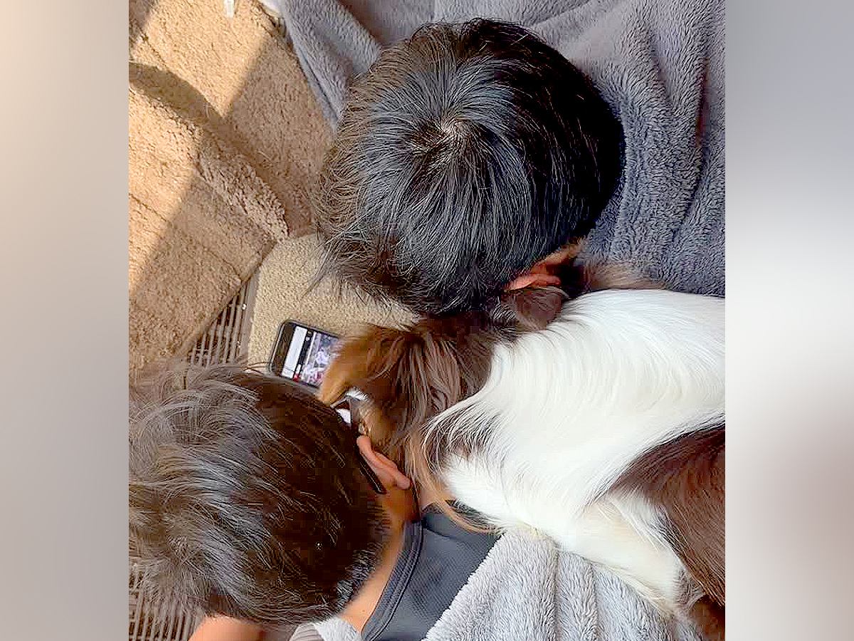 父と兄がスマホを見ていたら、犬が割り込んできて…まるで人間のような『尊い振る舞い』が18万再生「可愛すぎる集団」「何でも一緒がいいのね」