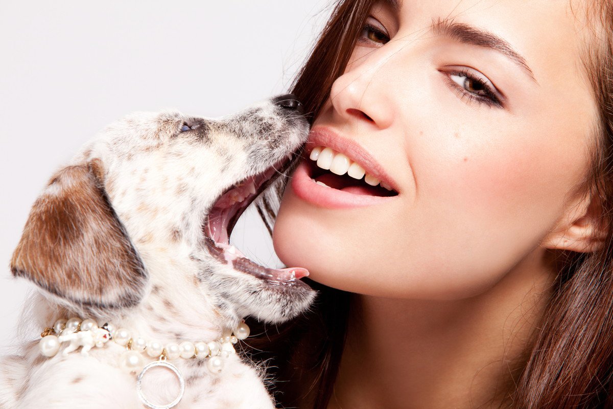 犬の気持ちを理解しよう！抱っこを要求するのに触ると噛んでくる理由と対処法