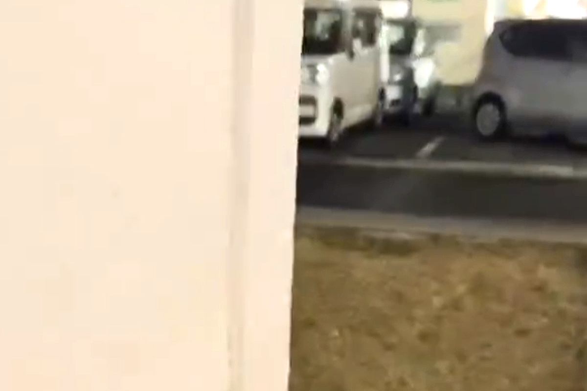 散歩中、呼んでも来てくれない犬→物陰に隠れてみた結果…あまりにも愛おしい反応が話題に「2段階ジャンプ可愛すぎるｗ」「カンガルーかｗ」