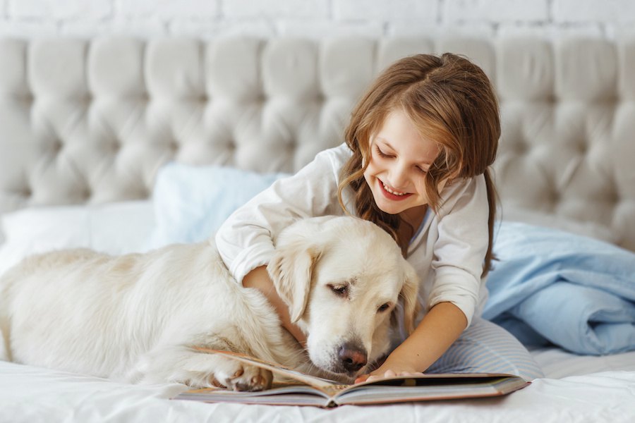 「動物介在読書プログラム」ってなに？どんな効果があるの？