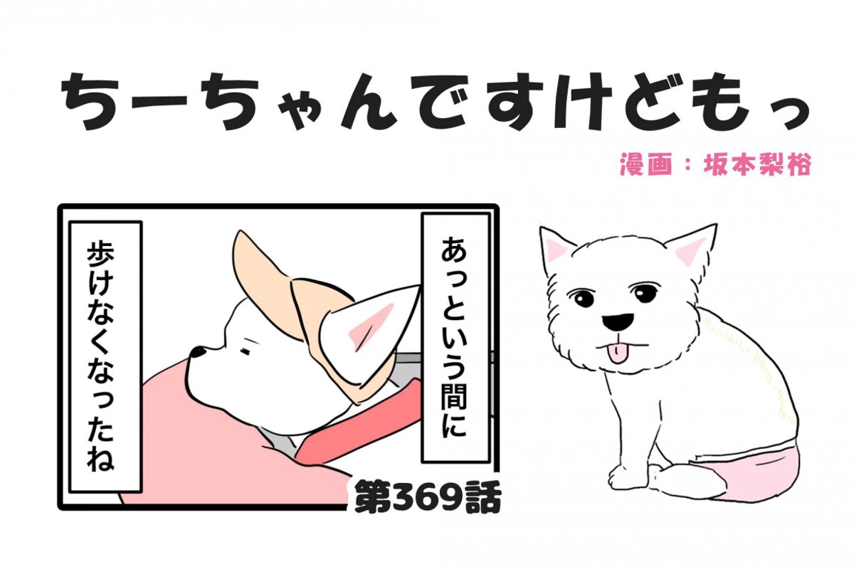 ちーちゃんですけどもっ【第369話】「ちーちゃんと」