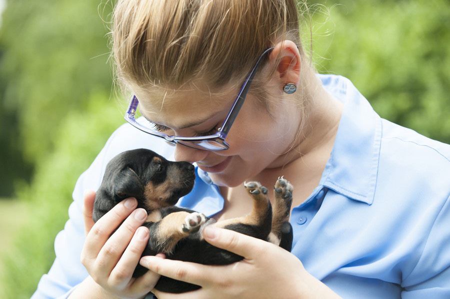 犬の「臨界期」ってなに？実はとても大切な期間！