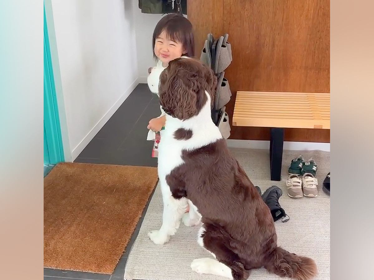 ドアの前でパパの帰りを待つ『女の子と大型犬』→帰ってきた瞬間…愛おしくてたまらない『おかえりなさい』に反響「1秒でも早く帰りたくなる」