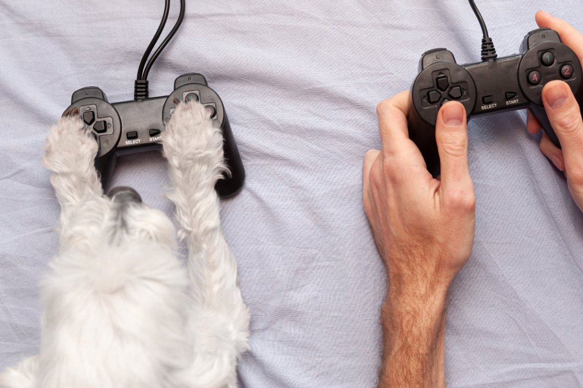 「犬はビデオゲームをプレーできるか」研究が進行中　犬用ビデオゲームの普及は意外と近い未来かも？