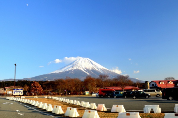 犬と車で旅行するときに気を付けること。おすすめのサービスエリア（SA）