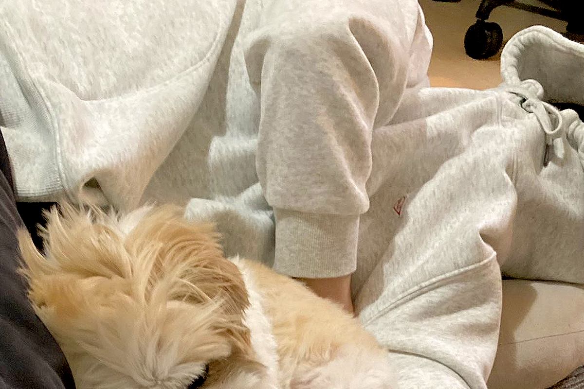 大はしゃぎしていた夫と犬→『急に静かになったな』と思い、覗いてみた結果…完全に燃え尽きた『表情』に反響「あしたのジョーで草」「可愛いｗ」