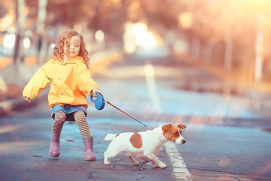 犬のお散歩トラブルが起こりがちなシーン４選