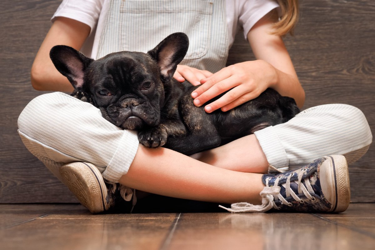 なぜ？犬が人のヒザの上に乗りたがる『5つの理由』