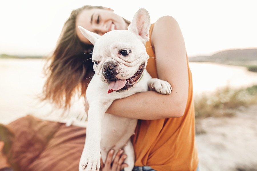 愛犬にもっとあなたを好きになってもらう方法４つ