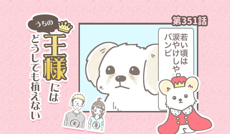 うちの王様にはどうしても抗えない【第351話】「目やに問題」