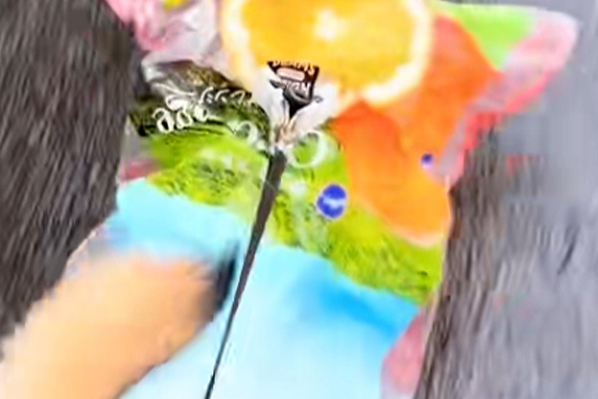 犬の散歩に行こうとしたら、突然の雨→即席カッパとして『袋』を被せたら…まさかの『殿様化』する光景に爆笑「肩パッドで草」「色合い素敵ｗｗ」