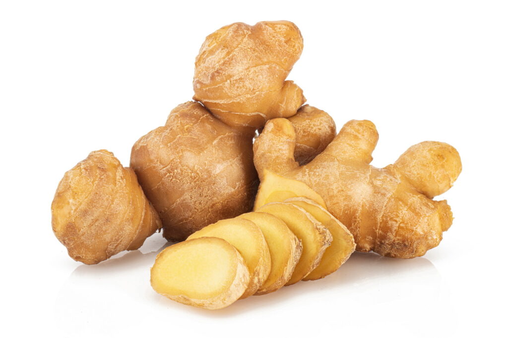 【獣医師監修】犬は生姜を食べても大丈夫？正しい与え方や注意点、栄養素から効果まで解説